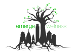 emerge logo