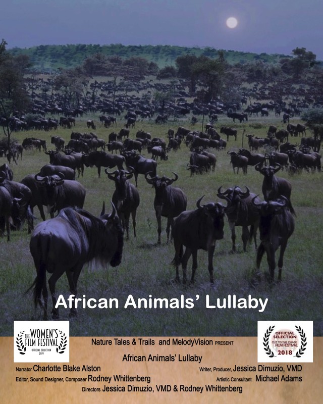 Poster a130ea1a4f-poster